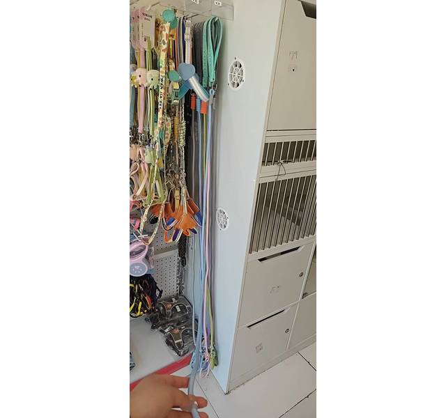 特长狗绳