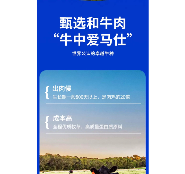 博刻 全价无谷和牛配方犬粮3磅