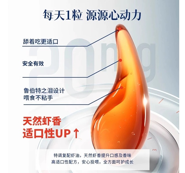  明质 辅酶Q10胶囊