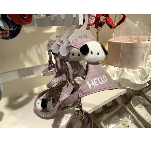 小狗牵引绳xs