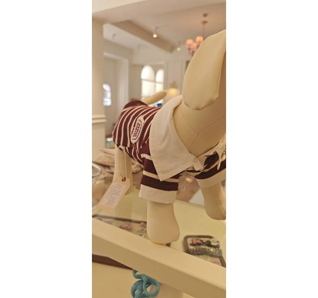 老钱风气质POLO衫