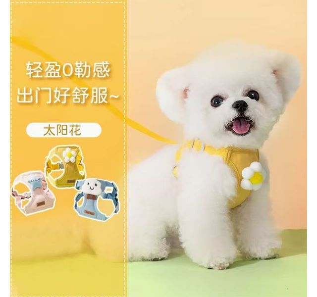 胸背小熊款M码
