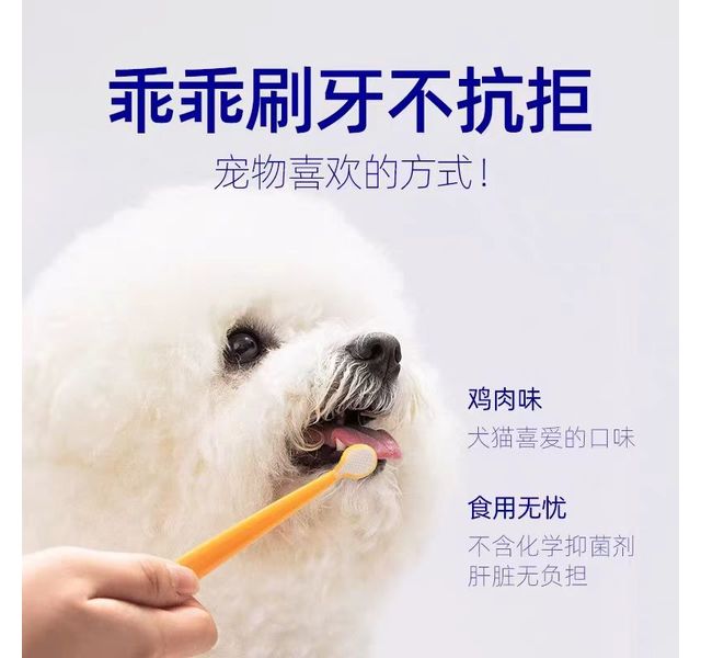 小壳牙膏牙刷套装