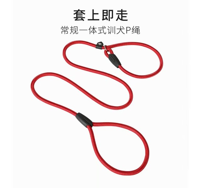 1.0p链