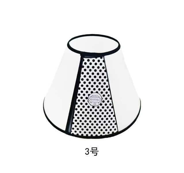 伊丽莎白圈3