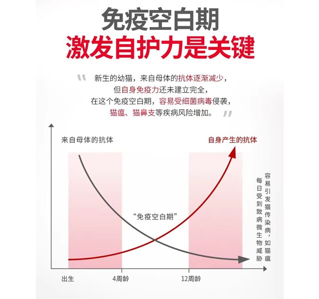 皇家离乳期幼猫奶糕