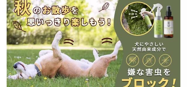 呗哆宠宠【造梦店】0
