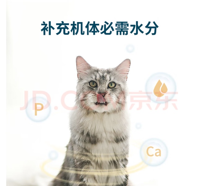 猫餐包 鲜朗全价主食