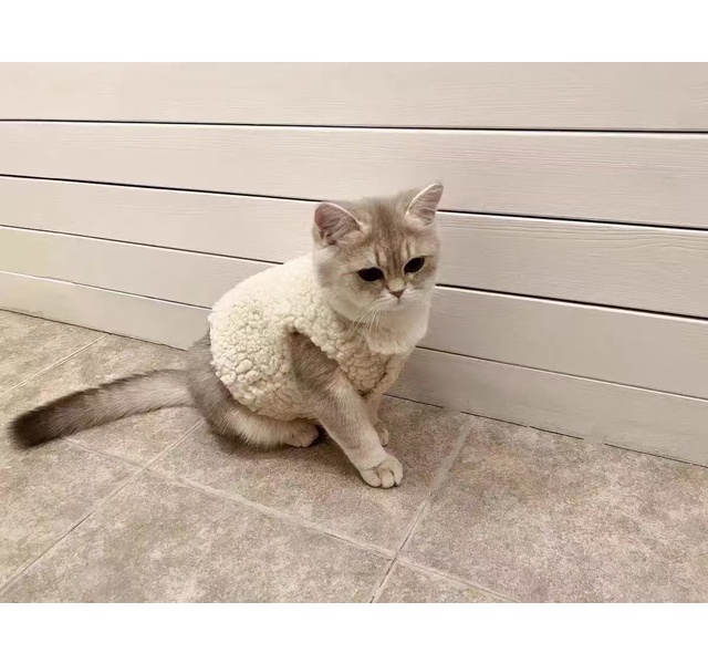 棉衣马甲