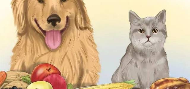 遇见它宠物生活馆 0