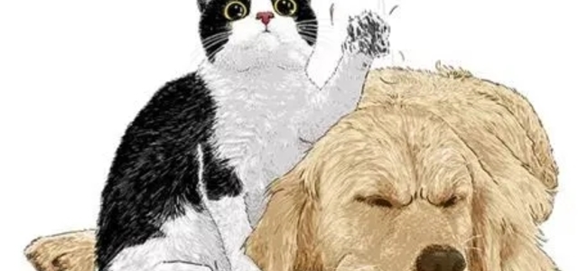 遇见它宠物生活馆 1
