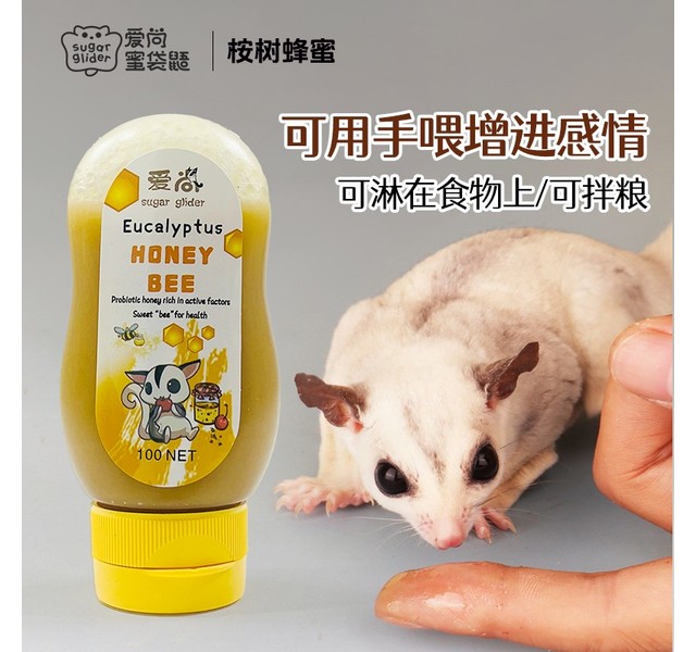 蜜袋鼯桉树蜂蜜100NET