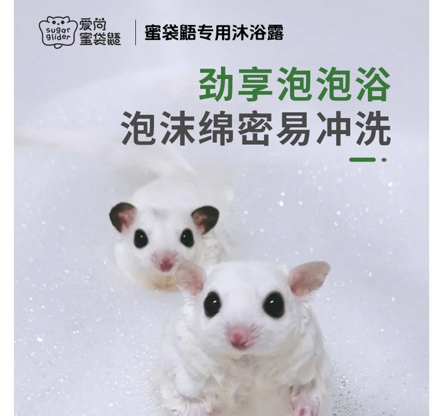 蜜袋鼯专用沐浴露100克