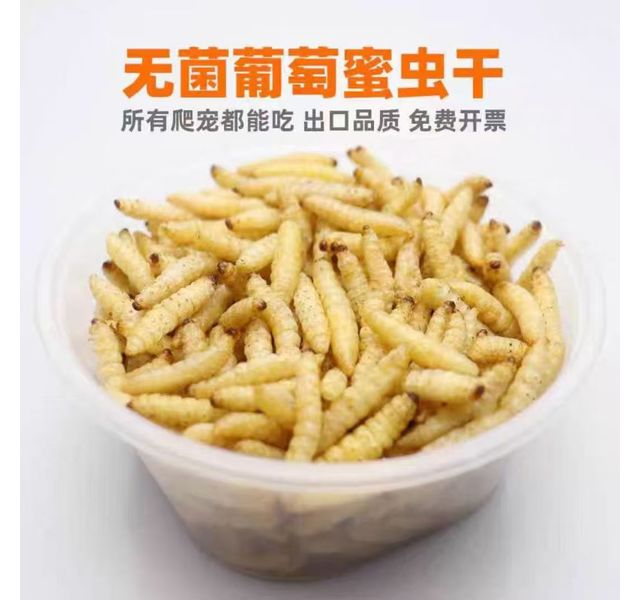 无菌葡萄蜜虫干