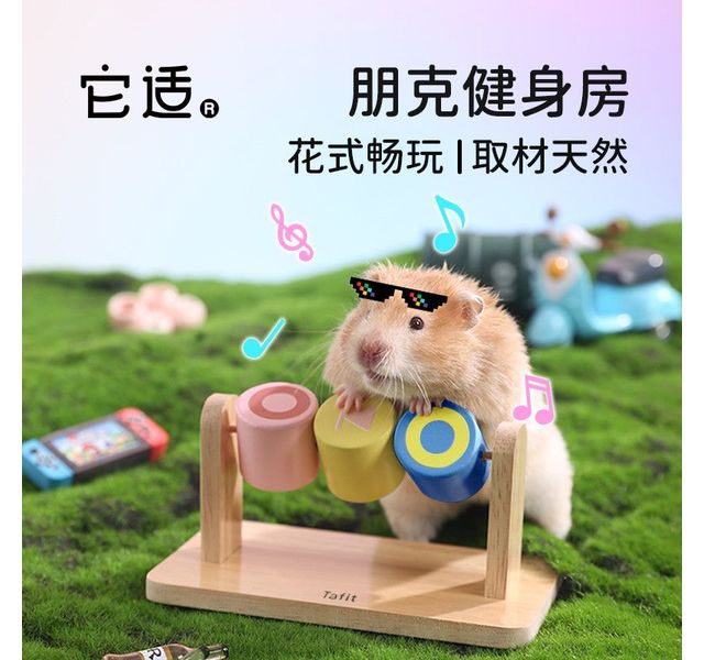 打碟玩具