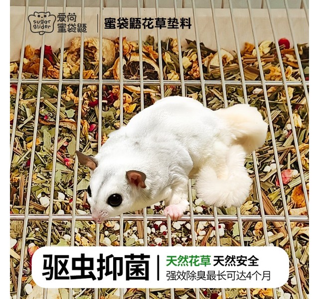 蜜袋鼯花草垫料