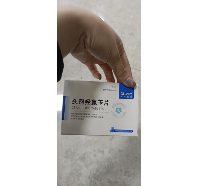头孢羟氨苄片