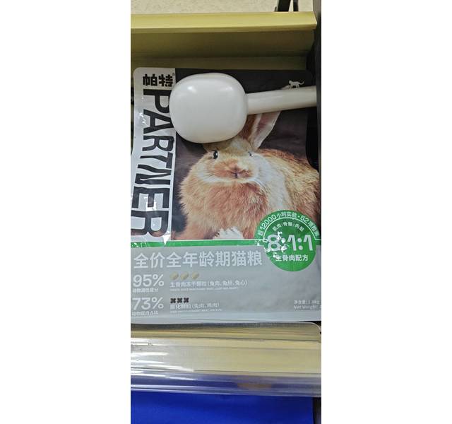帕特生命猫