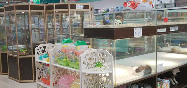 乐宠（金源店）1