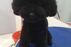 两个伴宠物生活馆