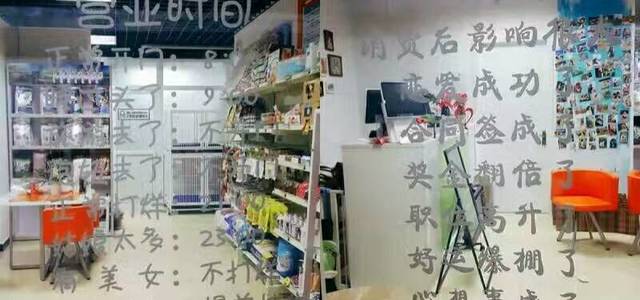 友佳好宠物会所3