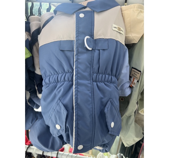 四脚蓝色