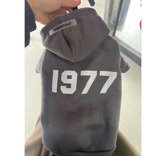 1977灰色