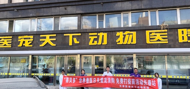 医宠天下动物医院6