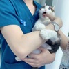 小淘气咬大夫手指