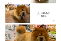 宠乐迪宠物生活馆