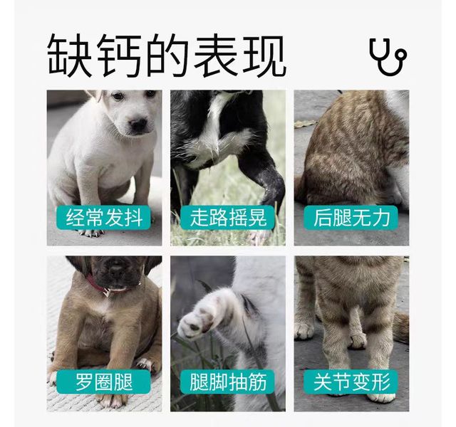 八牧宠物乳钙片
