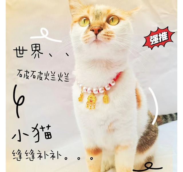 长命锁宠物项圈