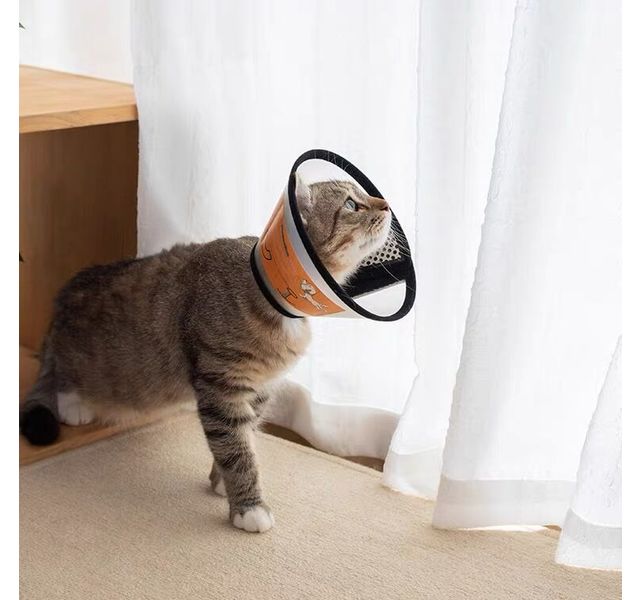 曼爵猫园    宠物透明伊丽莎白圈
