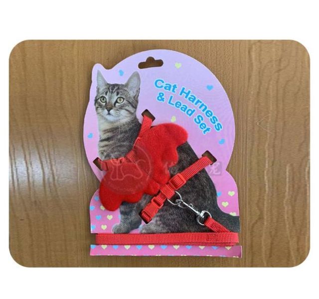 曼爵猫园   天使翅膀胸背猫绳