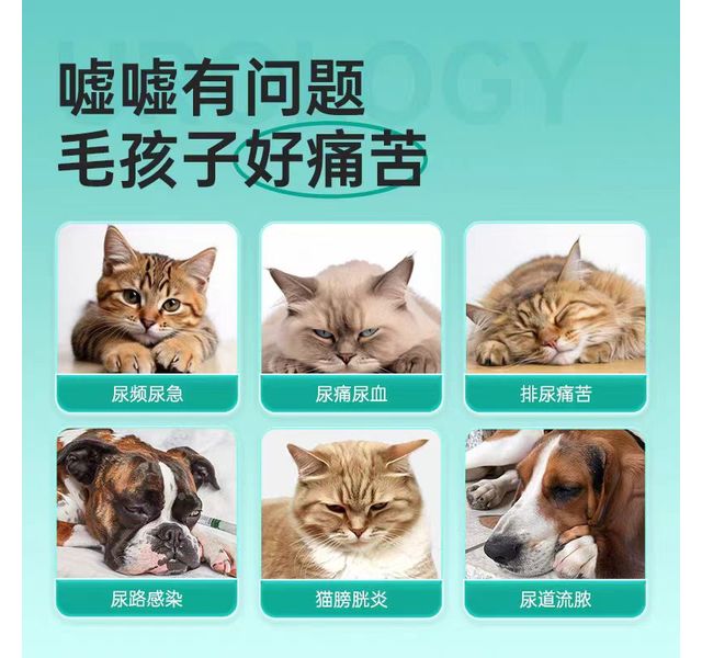 八牧宠物泌尿通