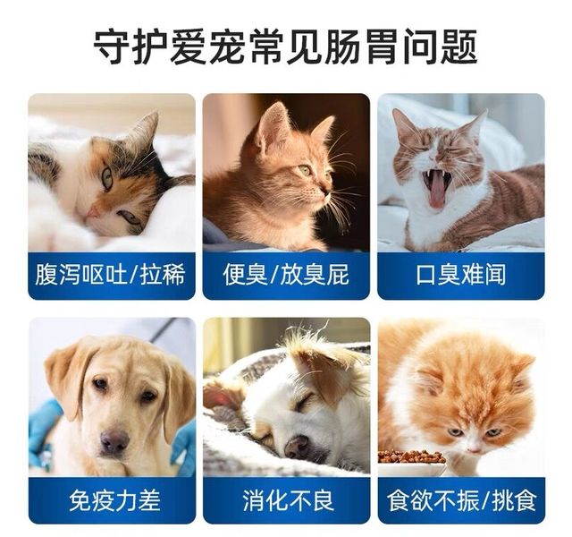 曼爵猫园   K魔方益生菌