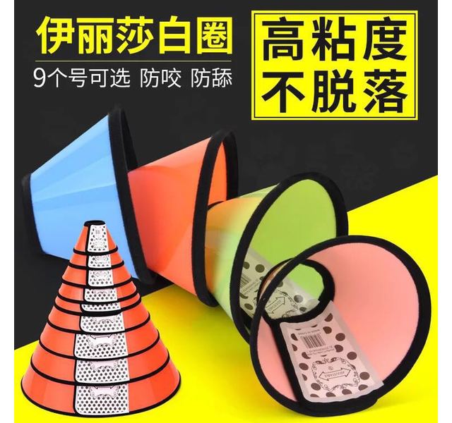 曼爵猫园    彩色伊丽莎白圈