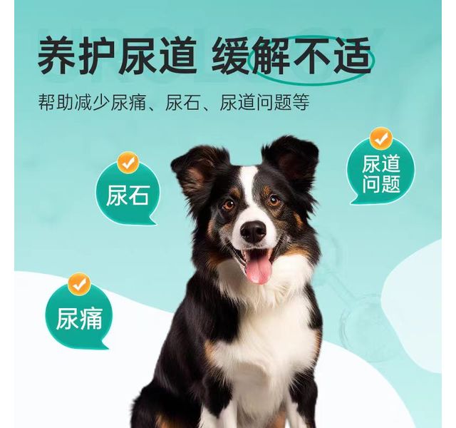 八牧宠物泌尿通