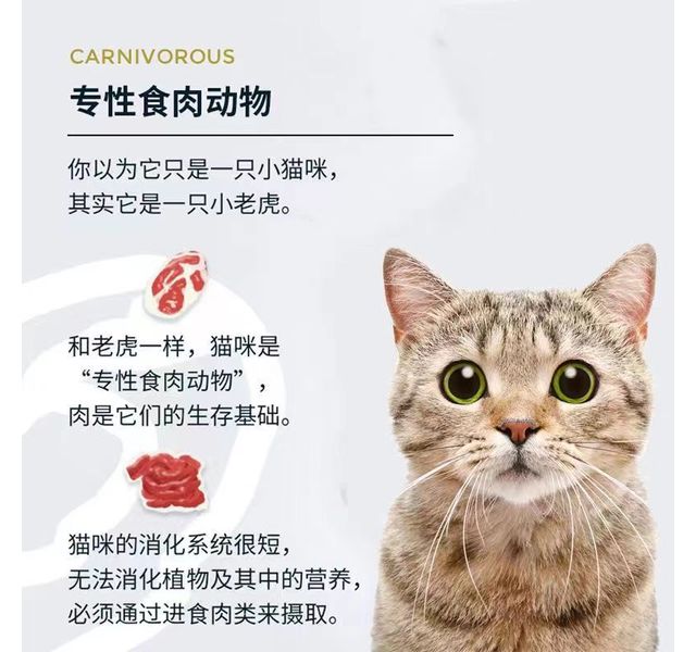 力狼6种鲜肉全价猫粮
