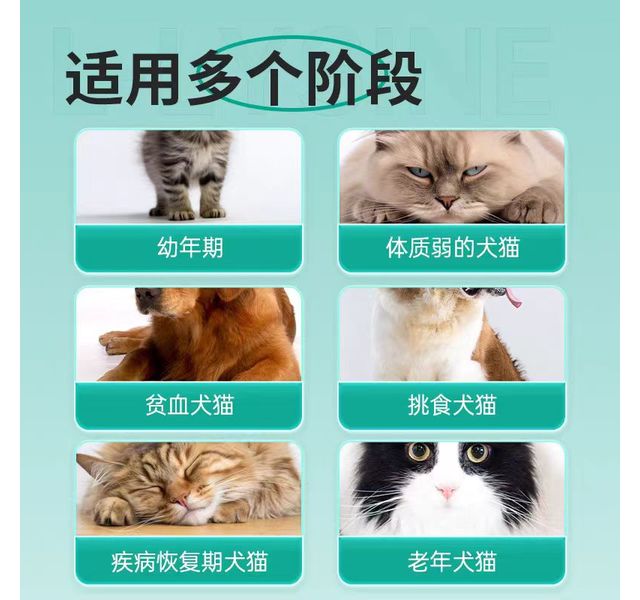 八牧宠物用L-赖氨酸粉