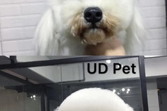 UD Pet