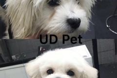UD Pet