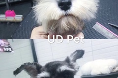 UD Pet