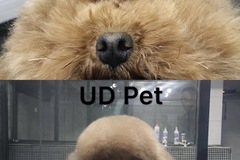 UD Pet