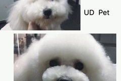 UD Pet
