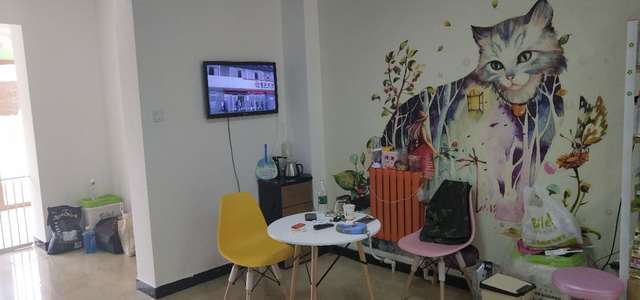 大厅1