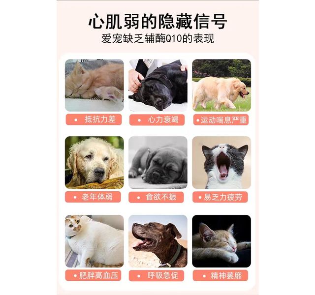 拜迪恩心脉通