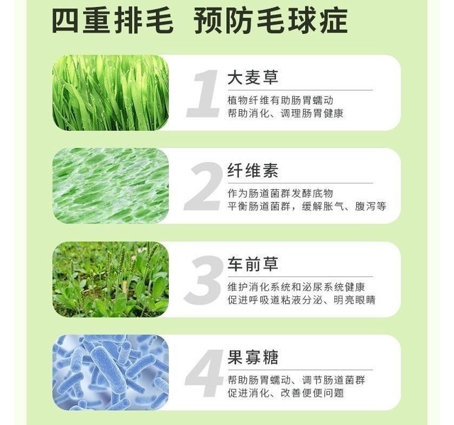 大脸猫-秒开心