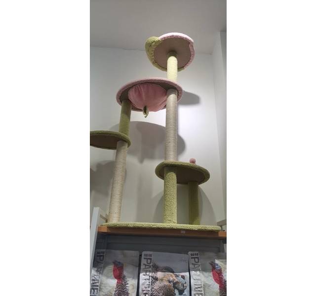 粉色大猫爬架