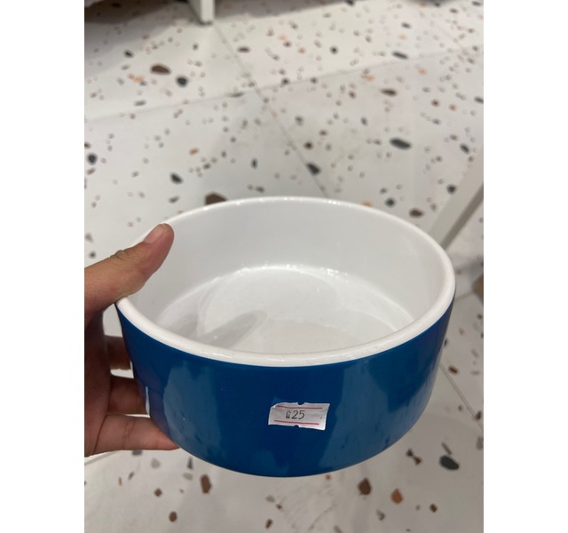 猫大圆碗